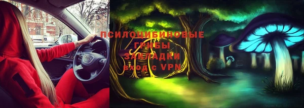 шишки Верея