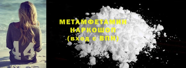 шишки Верея