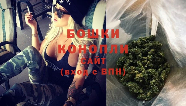 шишки Верея