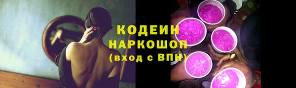 шишки Верея