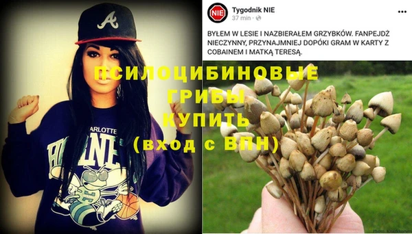 Альфа ПВП Верхний Тагил