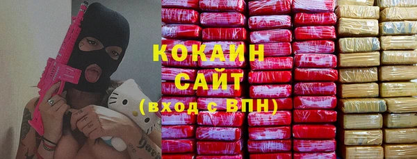 шишки Верея