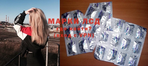 шишки Верея
