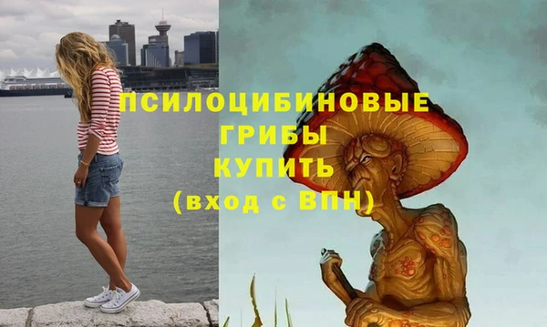 Альфа ПВП Верхний Тагил