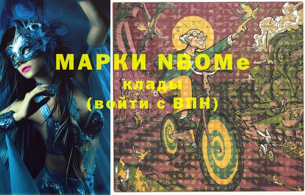 шишки Верея