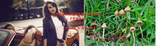Альфа ПВП Верхний Тагил