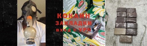 шишки Верея