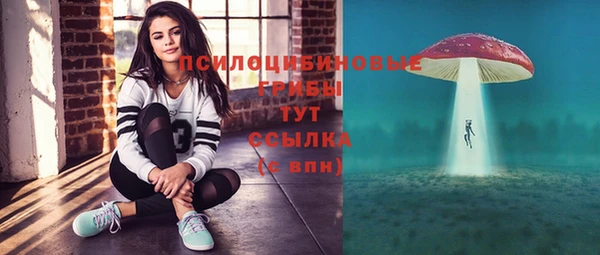 Альфа ПВП Верхний Тагил