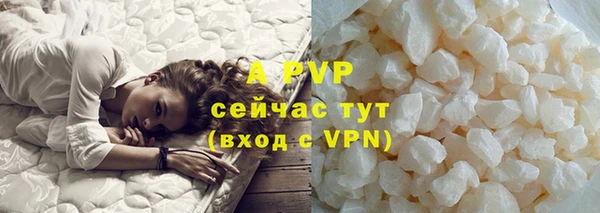 шишки Верея
