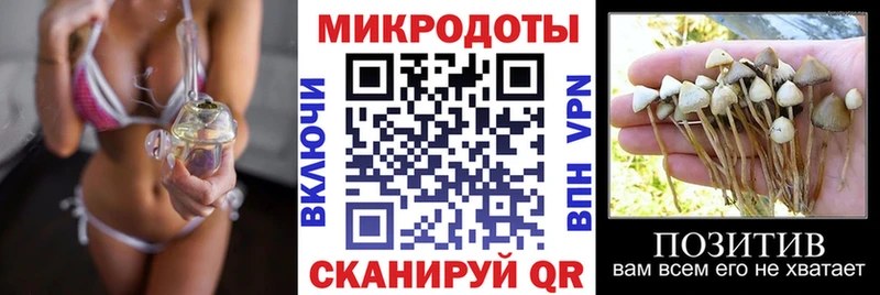 Псилоцибиновые грибы MAGIC MUSHROOMS купить Красноярск